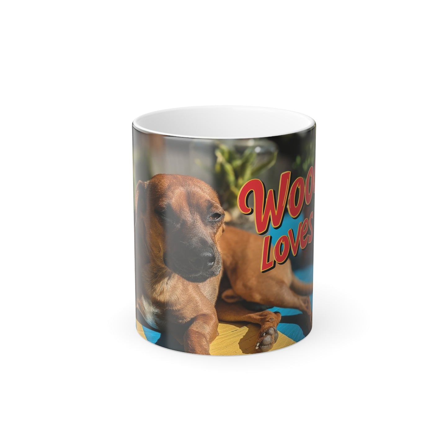 Woody Color Morphing Mug, 11oz