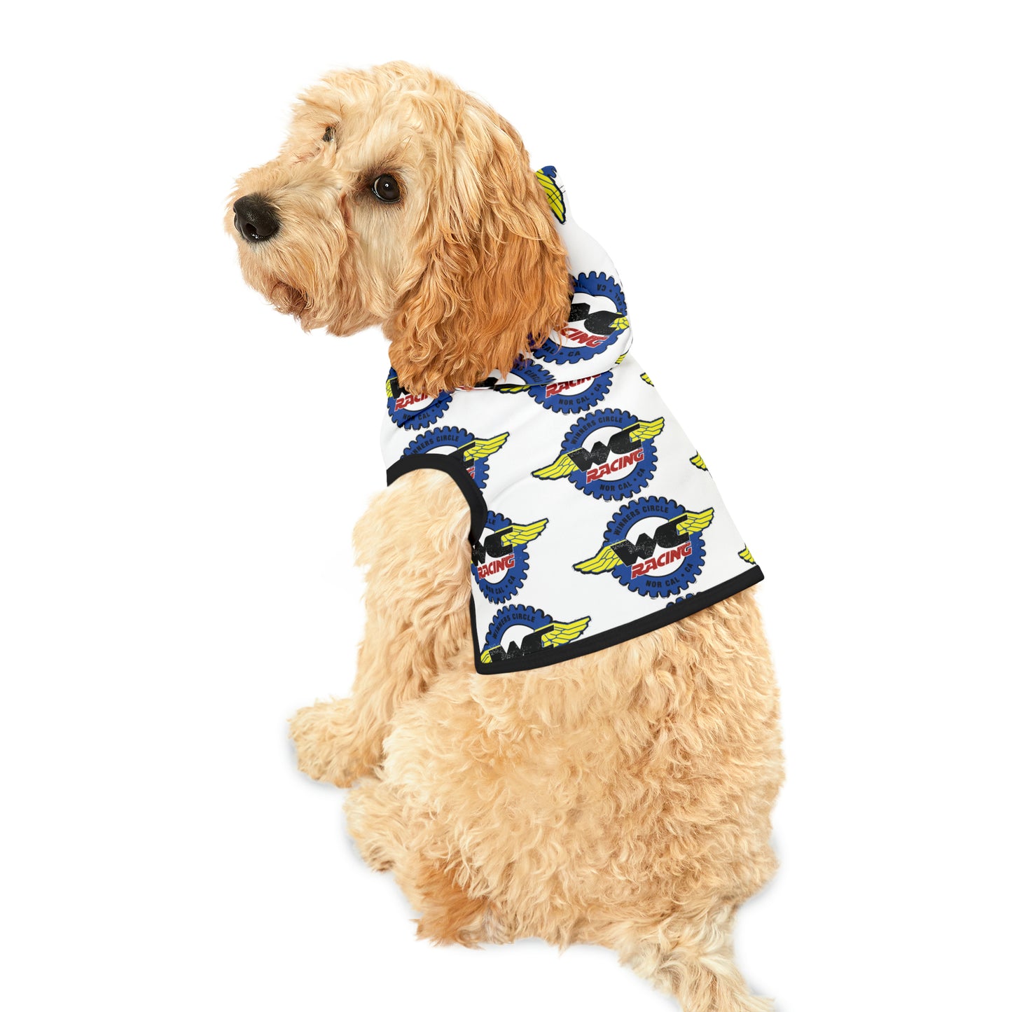 Little Buddies Hoodie